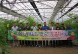 제주 애월농협, 깎아 먹는 고당도 '애플수박' 첫 출하