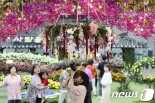 전국 최대 꽃박람회 대구 엑스코서 열려