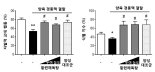 보중익기탕, 황련해독탕의 치매치료 효능 확인