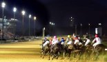 렛츠런파크 제주, 야간경마·워터파크·물총축제 진행