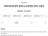 [헉스] "쇠파이프 맞은 고양이 쇼크, 범인 죗값 치르게 해달라"