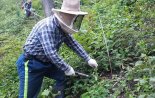 북부산림청, 잠실주경기장 715배 면적 조림지 가꾸기 추진