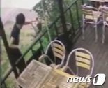 [클릭 이사건] 내 고양이를 잔인하게 죽인 범인..“길고양이인 줄 알았다”