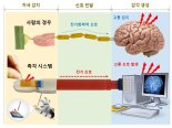 고통 느끼는 전자 피부기술 개발… 의수 착용환자에 적용 가능