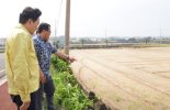 제주도, 가을장마·태풍 피해 농가 재해복구비 신속 지원