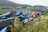 인천 강화군 특별재난지역 지정…국비 53억 지원