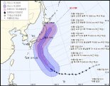 19호 태풍 하기비스, 日 열도 휩쓸며 북동진 예상