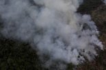 브라질 대통령 "디카프리오 아마존 산림 화재에 돈 댔다"