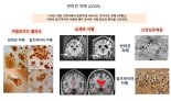 ㈜지엔티파마,내년 상반기 세계최초 '반려견치매치료제' 신약 승인신청