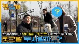 브라이언X손재승, ‘펫, 그것을 알려줄개’로 기적의 솔루션 