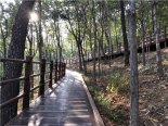 인천시, 연간 500만명 찾는 계양산 산림욕장 확대 조성