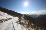 해발 1100m 하늘길 숲해설사와 걷는 ‘하이원 윈터 트레킹 패키지’