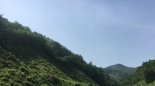 동부지방산림청, 내년도 입산통제구역 지정 · 고시