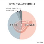 미국산 소고기, 2019년 수입소고기 시장 1위