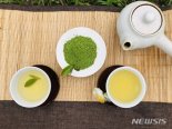 “이번엔 녹차래요” 하루 세 잔 마시면 치매 예방에 효과…깜짝 연구결과 [건강잇슈]
