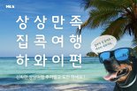 코로나19 금욕생활, 랜선으로 풀다