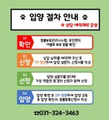 용인시, 유기동물 입양 문화 확산 '입양 비용 지원'