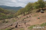 서호 통일차관, 산림청과 DMZ 화살머리고지 현장조사