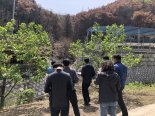 산림청, 봄철 대형 산불 피해지 합동 조사...복구 계획 수립 나서