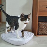 샤워로 젖은 몸 2분만에 다 말라… 반려동물도 사용 [백문이불여일체험]