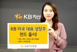 美우량기업 선별투자 ‘KB미국대표성장주펀드’ 출시