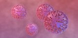 B형간염바이러스가 인간세포 RNA 따라해 생존