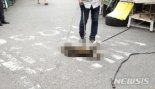 잇따르는 동물 학대 사건…"실질적 처벌 강화해야"