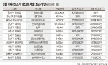 “가진 자들만의 리그” 강남·마용성 초고가 단지 줄줄이 신고가