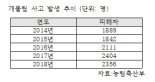 잇따르는 개물림 사고…"우리 개는 안 물어요" 방심 탓