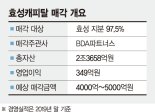 효성캐피탈 28일 본입찰… 대신증권 출사표, 인수전 뜨겁다