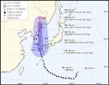 하이선 오전 9시 부산 상륙.. 전국 최고 400mm 폭우