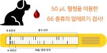 프로테옴텍, ‘반려견 알레르기 2열 라인 진단법’ 인증 획득