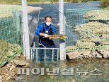 울산 태화강 일원서 회귀 연어 이동범위 국내 첫 추적조사