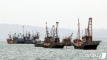中어선 불법조업 지속, '15차 한중 어업문제 협의회' 화상 개최