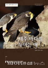 먹이사슬 정점…제주 바다를 누비는 매 [fn포토] 