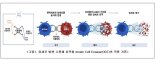 엔케이맥스, ‘표적형 NK면역항암제’ 美FDA 미팅 완료