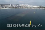 울산 일산해수욕장에서 60대 여성 변사체