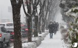 서울 '대설주의보'..예상적설량 '5㎝ 이상’