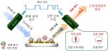 [1일IT템]코드분할다중접속(CDMA) 기술 활용 알츠하이머병 조기진단