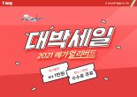  티웨이항공, 새해 하계스케줄 메가 얼리버드 실시