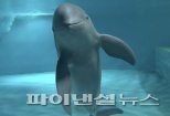 웃는 돌고래 ‘상괭이’ 멸종 막자…그물 탈출 장치 보급