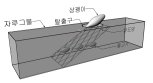 그물 갇힌 ‘상괭이’ 탈출장치 설치 의무화해달라 