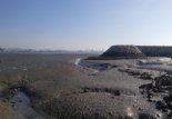 국립해양조사원, 인천·태안·순천만 갯골분포도 제작 완료