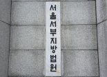 전동킥보드 만취 역주행한 개그맨 '벌금 20만원'