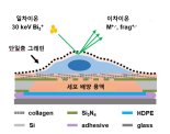 살아있는 세포를 있는 그대로 분석한다