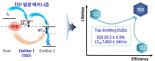[1일IT템]세계 최고 성능의 청색 OLED 소자 개발
