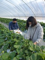 한국서부발전, 발달장애인 위한 스마트농장 시험재배 성공