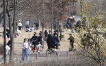 포근한 휴일...산수유 핀 한강공원
