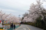 목포시, 유달산 봄 축제 전면 취소