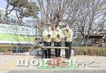 시흥시 인구50만 대도시 진입, 산수유 심다